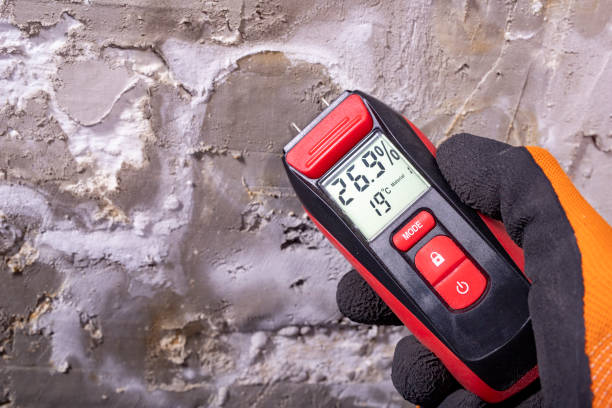 Best Home Mold Removal  in Pacific, WA
